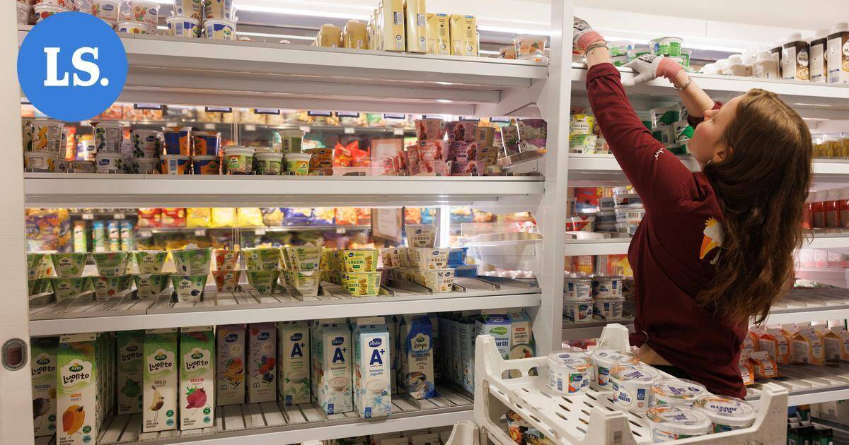 Yli tuhat kesätyöpaikkaa on nyt auki – Mikkelin seudun isot työllistäjät avasivat haut | Paikalliset