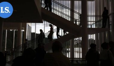 Tällainen on Mikkelin keikkatarjonta tammikuussa | Paikalliset