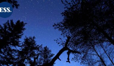 Viikonloppuna taivaalta voi bongailla tähdenlentoja | Uutissuomalainen