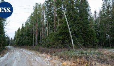 Tuhannet asiakkaat yhä ilman sähköä Hannes-myrskyn jäljiltä | Uutissuomalainen