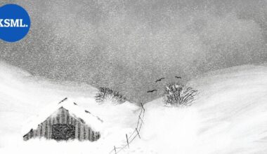 Jyväskyläläisen Galleria Beckerin vuosi alkaa Mikko Hietaharjun valokuvateosten hybrideillä | Keski-Suomi