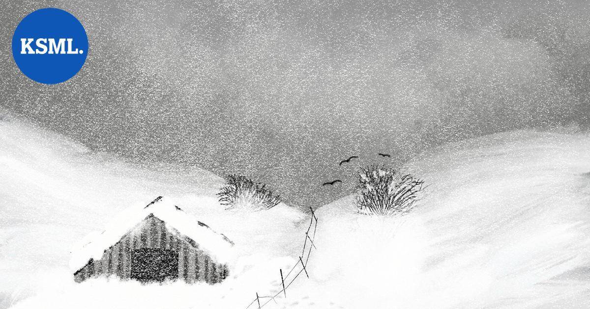 Jyväskyläläisen Galleria Beckerin vuosi alkaa Mikko Hietaharjun valokuvateosten hybrideillä | Keski-Suomi