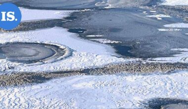 Lukijan luontokuvat | Pakkassään kauneutta – Katso kuvat! | Paikalliset