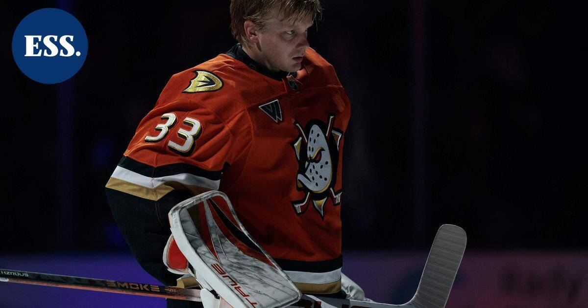 Maalivahti Ville Husso kutsuttiin NHL:ään | Urheilu