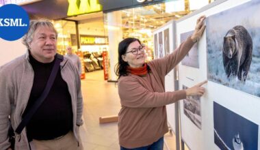 Karhut, huuhkajat ja muut luonnon asukkaat saapuivat valokuvien muodossa kauppakeskus Seppään Jyväskylässä | Keski-Suomi