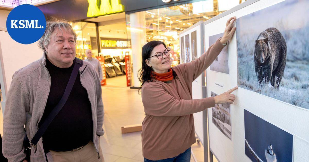 Karhut, huuhkajat ja muut luonnon asukkaat saapuivat valokuvien muodossa kauppakeskus Seppään Jyväskylässä | Keski-Suomi