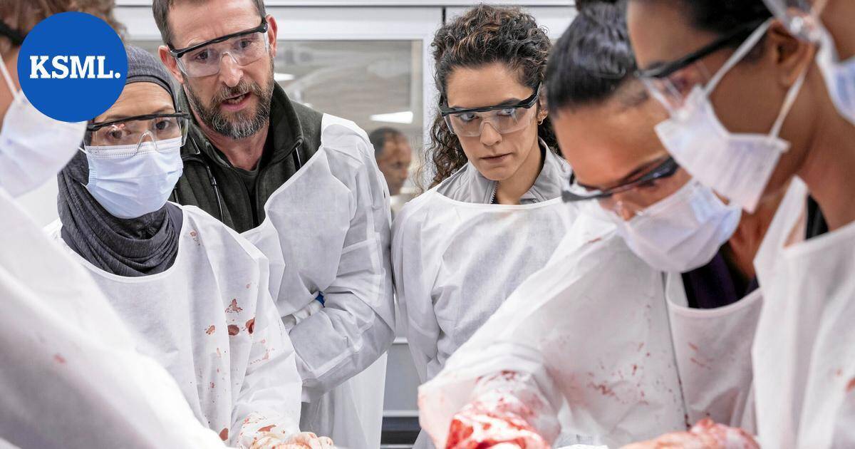 Sarja-arvio | Viiden Emmyn sairaalasarja The Pitt vakuuttaa jälleen | Keski-Suomi