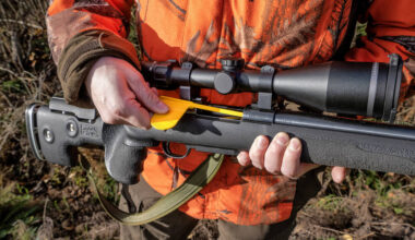 Pääkirjoitus: Susia on suojeltava – mutta myös ammuttava