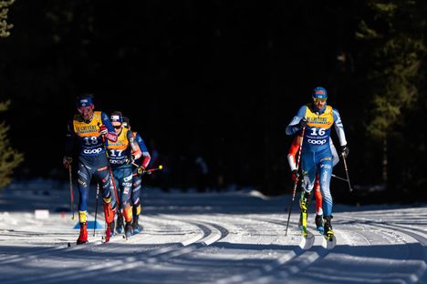 Peesikisa turhautti Perttu Hyväristä.