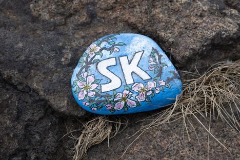 Euran pääkirjastossa voi maalata kiviä tiistaina 20. tammikuuta. Kuvituskuva Poriin muuttaneen Nina Enqvistin maalaamasta kivestä.