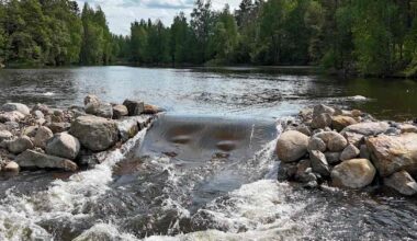 Vuoden 2025 kahdeksan parasta luontouutista: kosket vapautuivat, norppakanta kasvoi ja ilmastopäästöt taittuivat | Yle Luonto