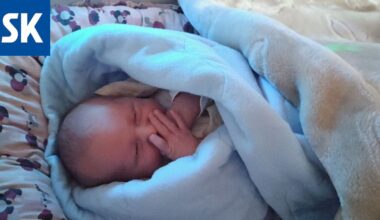 Katso tästä uudet tulokkaat – Satasairaalassa todellinen vauvabuumi joulukuussa