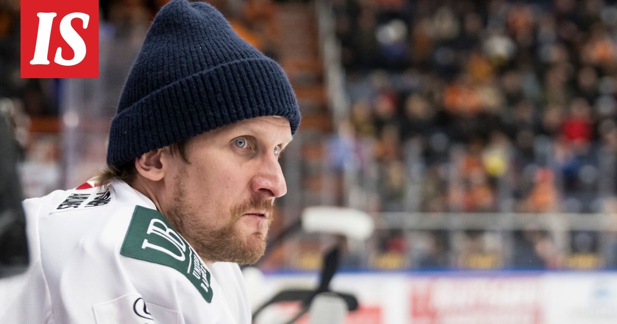 Kultaleijona: häät - Ilta-Sanomat