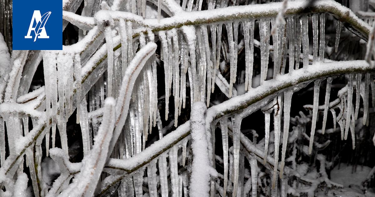 Kipakka pakkanen ja tuuli toivat jäätaiteen Näsijärven rantaan Tampereella – pakkasille ei näy loppua