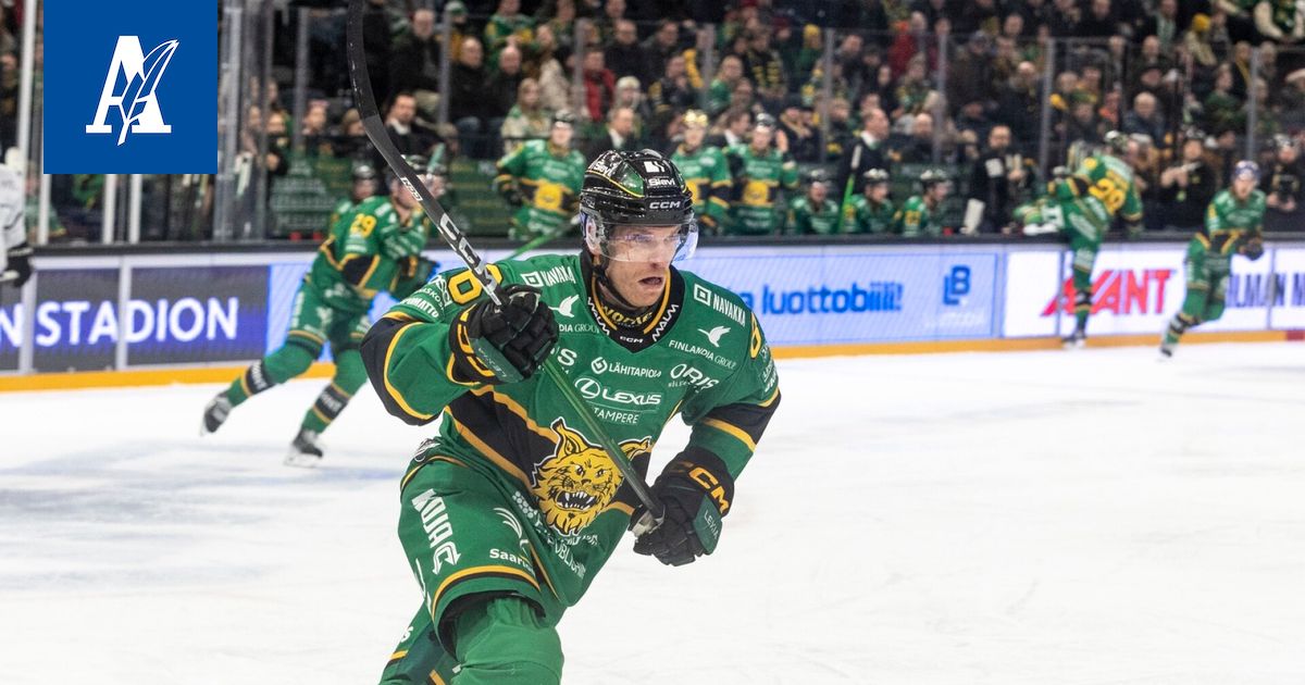 Ilvekseltä poikkeuksellinen temppu – kapteenilta paljastus saunailloista - Aamulehti