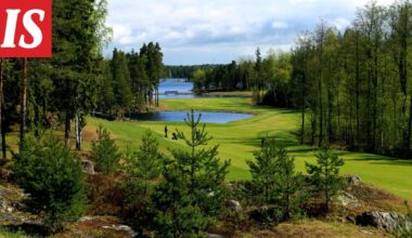 Golfpiste: Viipurin Golf haluaa tappoluvan hanhista – ei onnistunut