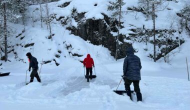 Paukkupakkaset auttavat saimaannorppaa, mutta lunta tarvittaisiin lisää | Etelä-Savo