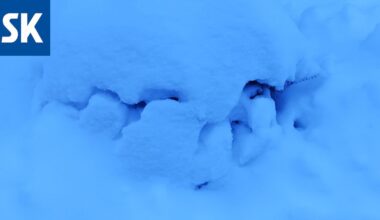 Tulen hulluksi, missä välissä ehdin itse lataukseen? – Lataan älykelloni, puhelimeni, hammasharjani, kuulokkeeni, autoni