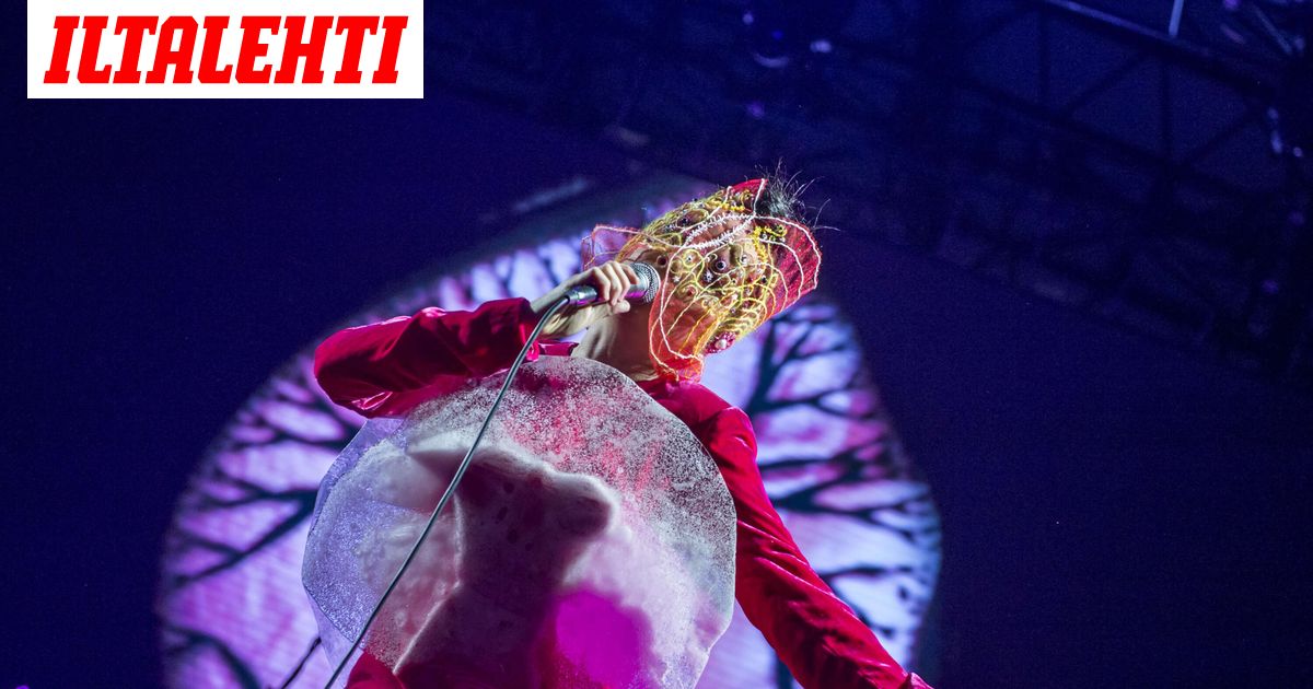 Grönlannista repesi riita – Nyt ärähti Björk