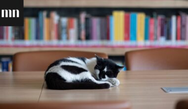 Me Naisten sananlaskuvisa: Täydennä puuttuva sana