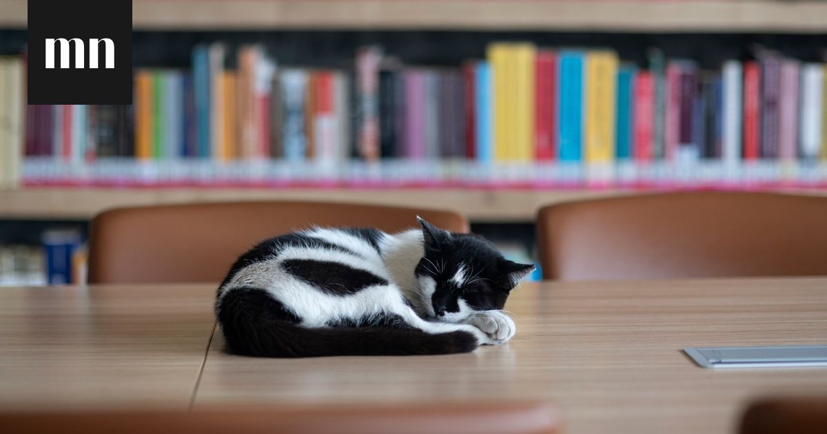 Me Naisten sananlaskuvisa: Täydennä puuttuva sana