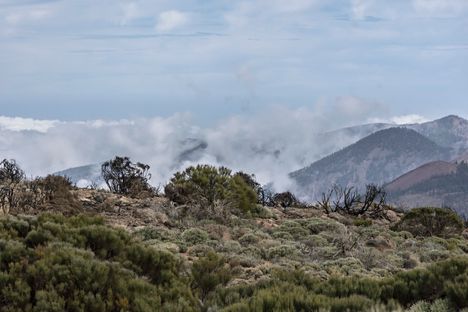 Loma Kanariansaarilla voi olla odotettua hankalampi, sillä massaturismi aiheuttaa saarella ongelmia, esimerkiksi liikenneruuhkia.