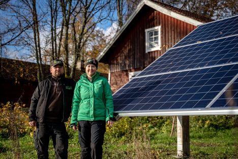 Salon Angelniemellä kasvaa Suomen paras härkäpapu.