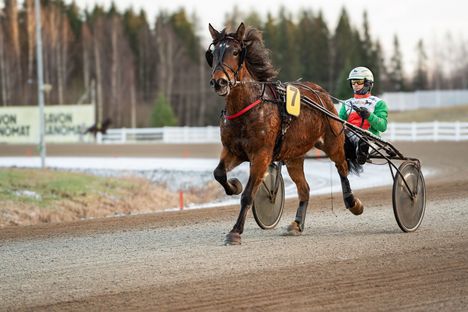 Valon Valma uhmaa pakkasta Oulun raveissa.
