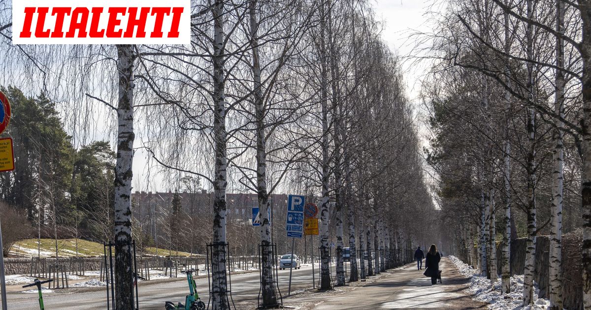 Kevät voi saapua etuajassa – Jopa +10