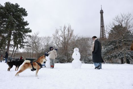 Koirat ihmettelevät lumiukkoja Pariisissa