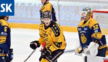 SaiPan jyrä vyöryi Lukon yli – Mutta kaipaatko vielä joukkueeseen vahvistuksia, Tomi Lämsä?