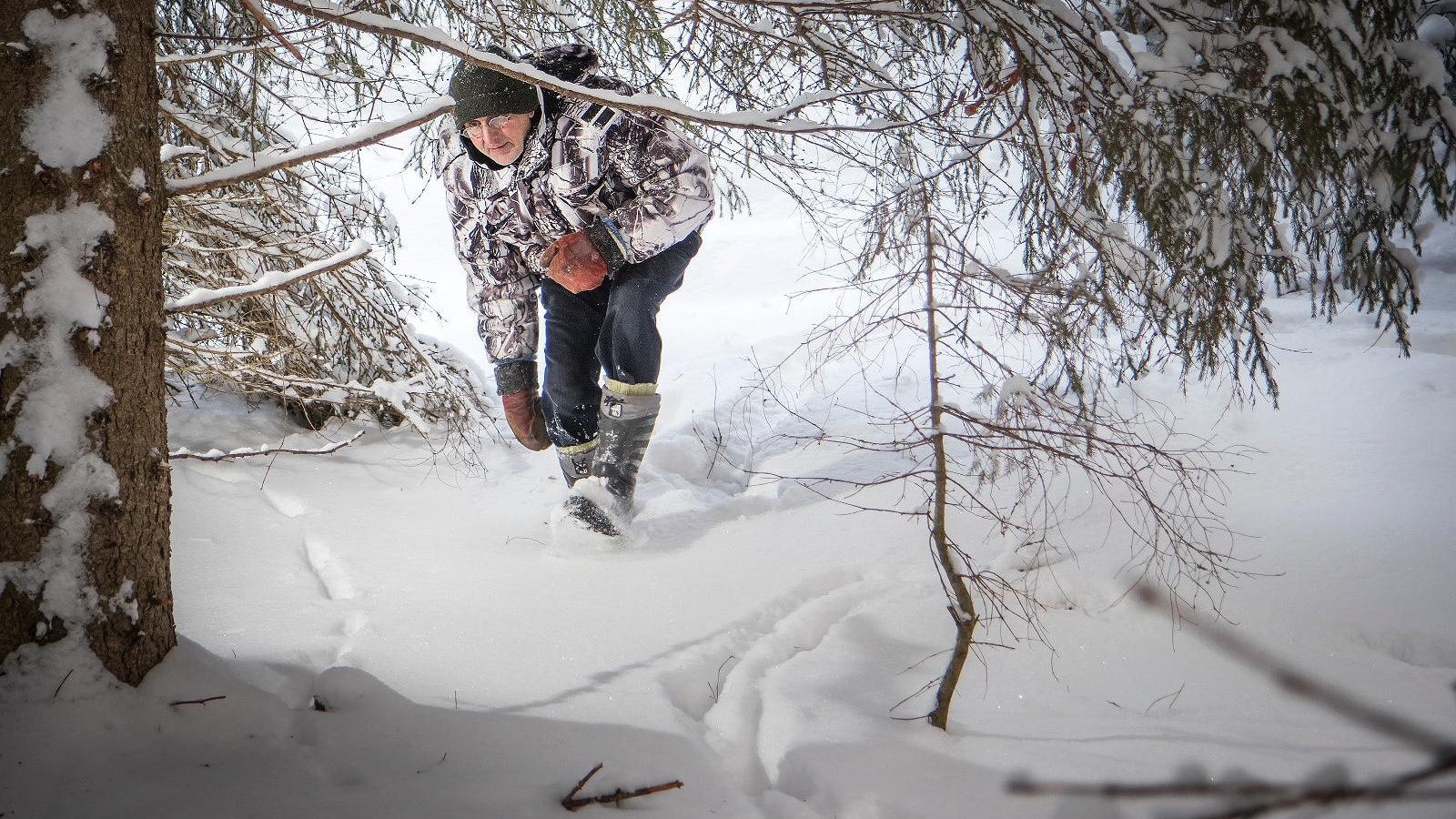Susien lumijälkilaskenta toteutetaan säiden salliessa Etelä-Pohjanmaan ja Pohjanmaan eteläosissa sekä Satakunnan pohjoisosissa - Metsä