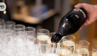 Alkoholiton kuohuviini | HS.fi
