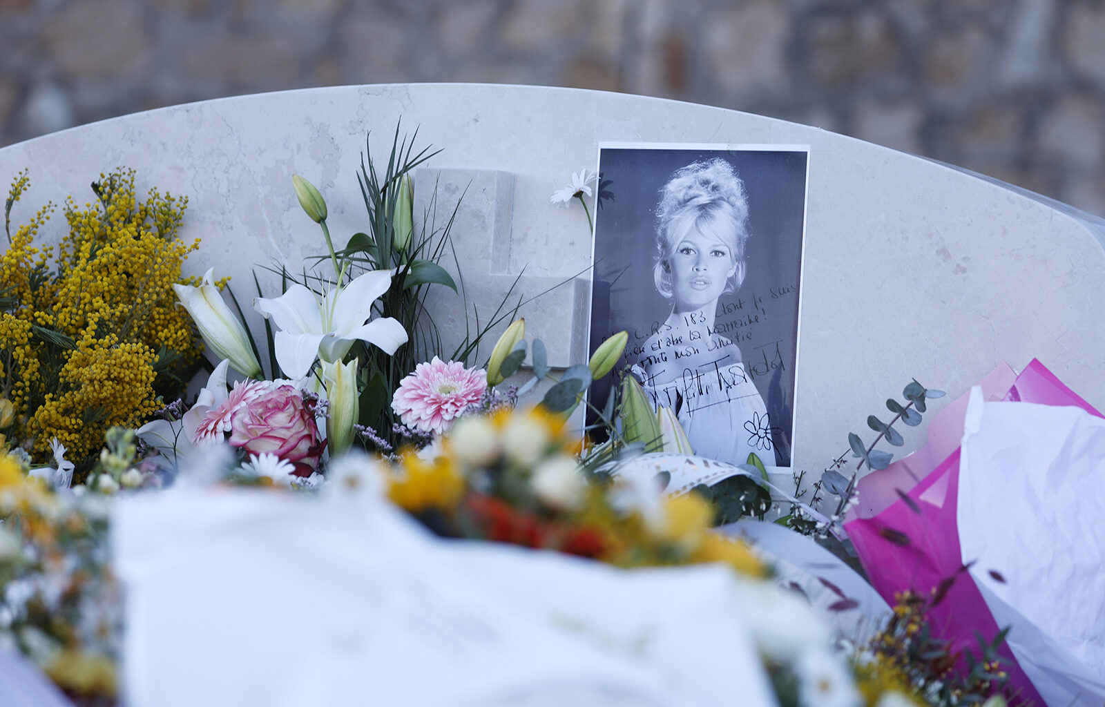 Brigitte Bardot'n kuolinsyy vahvistettu - Episodi.fi