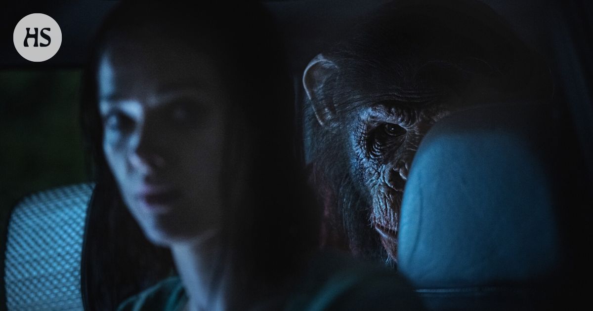 Raivotautinen simpanssi jahtaa teinejä häijyssä kauhuelokuvassa