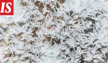 Hyytävä ennuste: Pakkasille ei näy loppua - Ilta-Sanomat