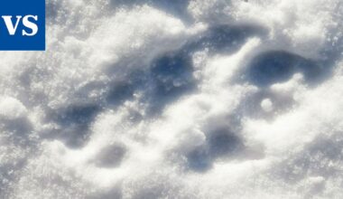 Susireviirit ulottuvat Valkeakoskelle - Valkeakosken Sanomat