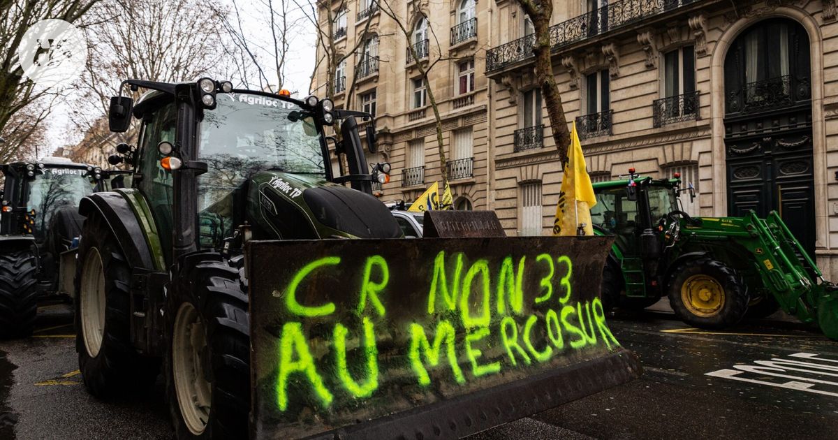 Historiallinen suursopimus etenee: Yli 700 miljoonan kuluttajan vapaakauppa-alue syntymässä