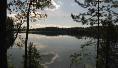 Hämeen järviylänkö on saanut edunvalvojan, joka haluaa lisätä tietoa laajasta erämaasta | Kanta-Häme