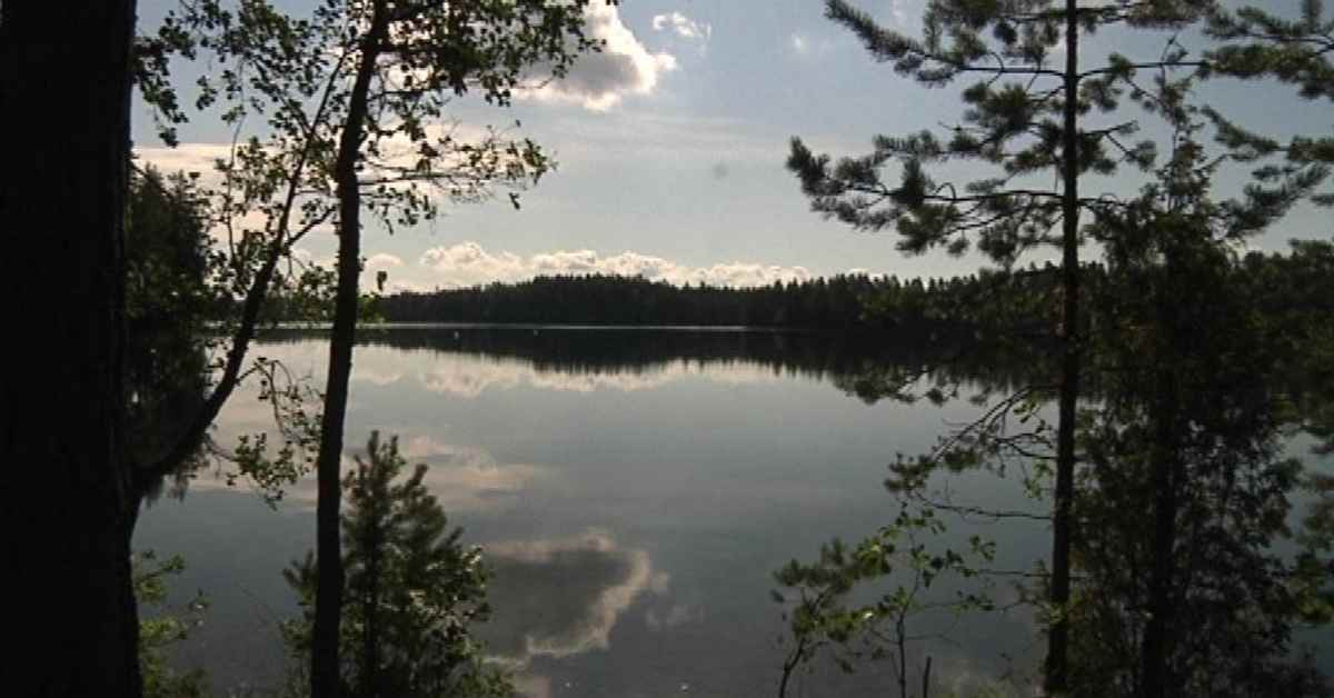 Hämeen järviylänkö on saanut edunvalvojan, joka haluaa lisätä tietoa laajasta erämaasta | Kanta-Häme