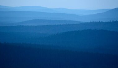 Osallistu Luonto-Suomeen | Luonto | Yle