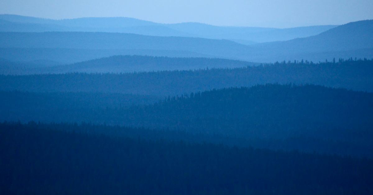 Osallistu Luonto-Suomeen | Luonto | Yle