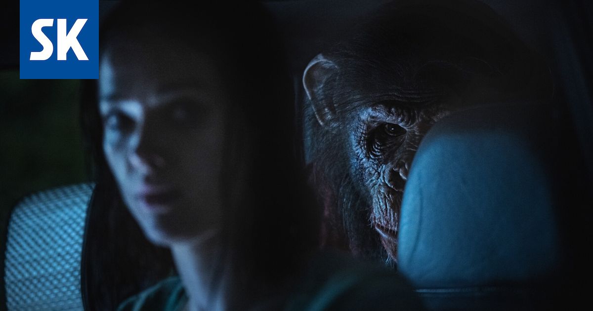 Raivotautinen simpanssi jahtaa teinejä häijyssä kauhuelokuvassa