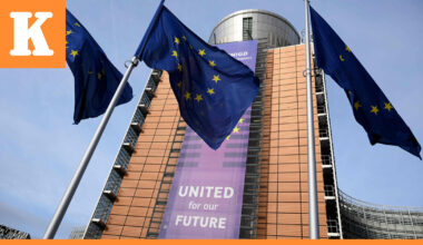 Mercosur-vapaakauppasopimus sai EU-maiden enemmistön taakseen – Suomen vienti Latinalaiseen Amerikaan voi kasvaa tuntuvasti