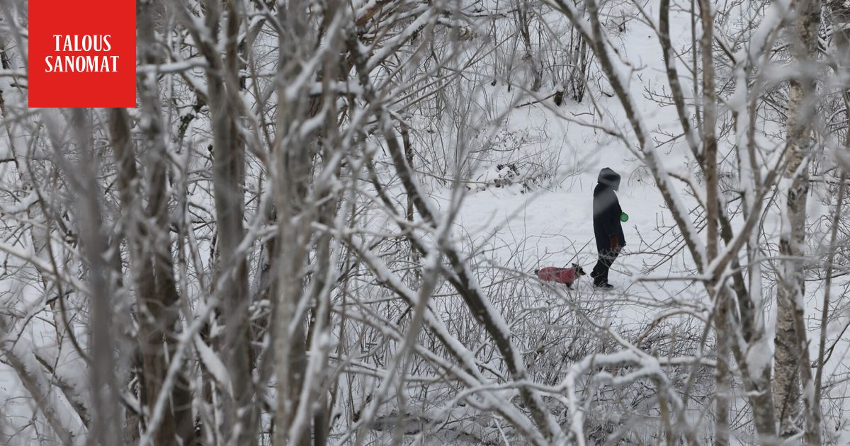 Suomessa Euroopan karmein työttömyys – tässä kaksi syytä tilanteeseen