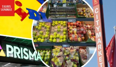 Lidl, Prisma ja Citymarket vertailussa: Missä ovat halvimmat kasvikset?