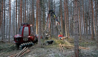 Mikrobiuute metsästä parantaa vastustuskykyä – uusi innovaatio haastaa perinteisen metsäteollisuuden - Metsä