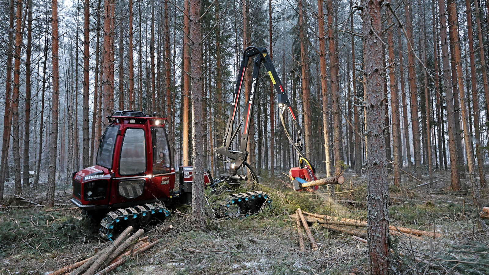Mikrobiuute metsästä parantaa vastustuskykyä – uusi innovaatio haastaa perinteisen metsäteollisuuden - Metsä