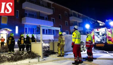 Tragedia Pietarsaaressa: Koira kuoli - Ilta-Sanomat