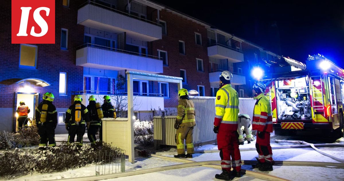 Tragedia Pietarsaaressa: Koira kuoli - Ilta-Sanomat